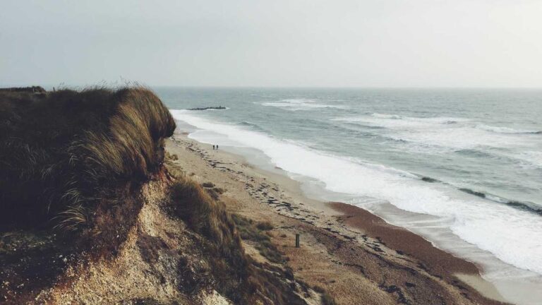 What Is The Official Site Of Cricbet99?